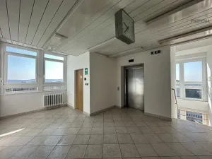 Pronájem kanceláře, Brno, Okružní, 20 m2