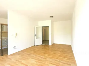 Pronájem bytu 1+kk, Písek, Krokova, 42 m2