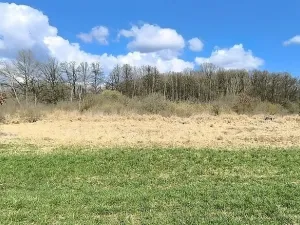 Prodej pole, Františkovy Lázně, 7083 m2