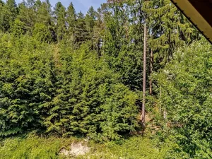 Prodej chaty, Líšnice, 121 m2