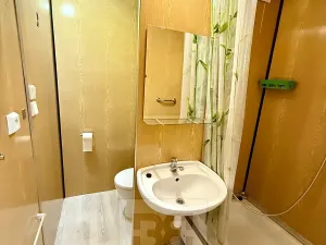 Pronájem bytu 1+kk, Plzeň, Toužimská, 32 m2