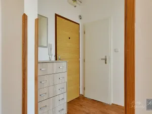 Pronájem bytu 2+kk, Ústí nad Labem, Brandtova, 43 m2