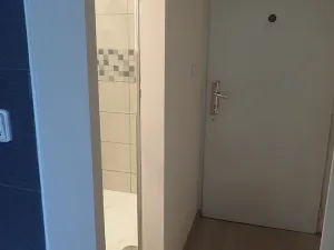 Pronájem bytu 1+kk, Liberec, Rychtářská, 19 m2