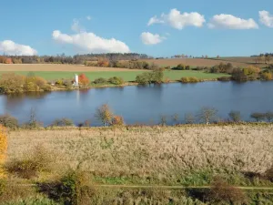 Prodej pozemku pro bydlení, Osová Bítýška, 700 m2