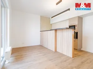 Pronájem bytu 2+kk, České Budějovice - České Budějovice 2, 49 m2