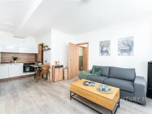 Pronájem bytu 2+kk, Praha, Plzeňská, 48 m2