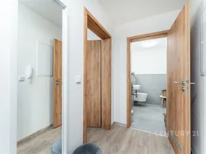 Pronájem bytu 2+kk, Praha, Plzeňská, 48 m2