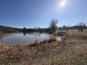 Prodej pozemku pro bydlení, Velká Bukovina, 997 m2