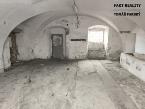 Pronájem obchodního prostoru, Býčkovice, 100 m2