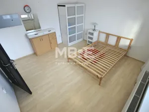 Pronájem bytu 5+1, Závada, 160 m2