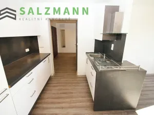 Pronájem bytu 3+kk, Plzeň, Rokycanská, 54 m2