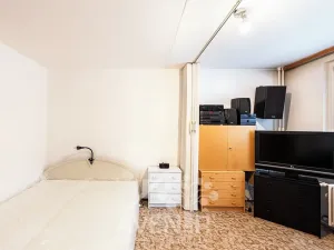 Prodej bytu 1+1, Desná, Krátká, 32 m2