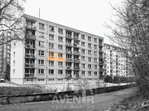 Prodej bytu 1+1, Desná, Krátká, 32 m2