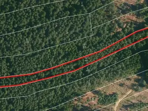 Prodej lesa, Horní Meziříčko, 6238 m2