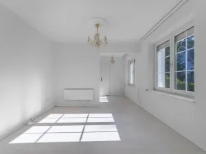 Prodej rodinného domu, Družec, V Zátiší, 289 m2