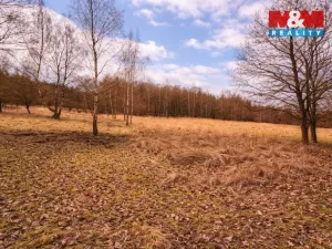 Prodej pozemku pro bydlení, Křečovice - Vlkonice, 68525 m2