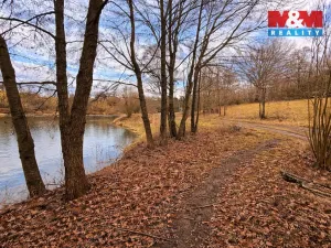 Prodej pozemku pro bydlení, Křečovice - Vlkonice, 68525 m2