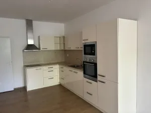 Pronájem bytu 2+kk, Brno, Cejl, 61 m2