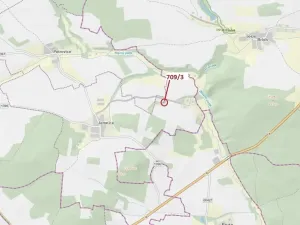 Dražba lesa, Osek, 301 m2