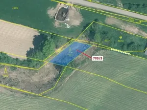 Dražba lesa, Osek, 301 m2