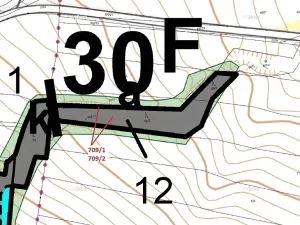 Dražba lesa, Osek, 1823 m2