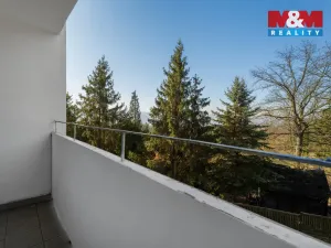 Prodej bytu 3+1, Ústí nad Labem - Ústí nad Labem-centrum, Malátova, 62 m2