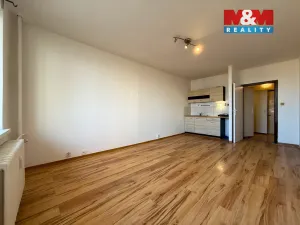 Pronájem bytu 1+kk, Ostrava - Výškovice, Výškovická, 29 m2