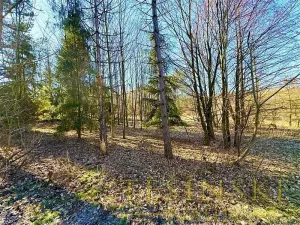 Prodej pole, Chotěbuz, Pod Zámkem, 2300 m2