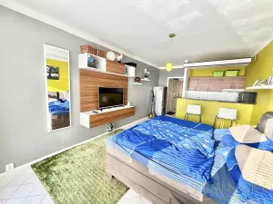 Pronájem bytu 1+kk, Český Těšín, Slezská, 29 m2
