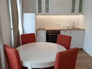 Pronájem bytu 2+kk, Karlovy Vary, Petřín, 55 m2