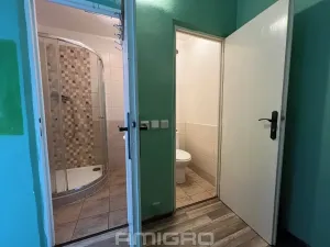 Pronájem bytu 1+1, Brno, Brožíkova, 37 m2