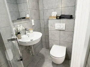 Pronájem bytu 1+kk, Praha - Vinohrady, Velehradská, 25 m2