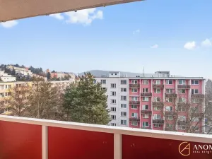 Pronájem bytu 1+1, Brno, Vavřinecká, 35 m2