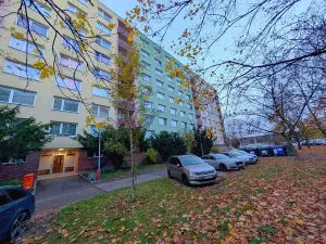 Pronájem bytu 3+kk, Mladá Boleslav, U stadionu, 81 m2