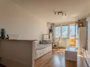 Prodej bytu 1+kk, Ostrava, Gen. Píky, 28 m2