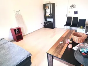 Pronájem bytu 3+1, Pardubice, Bělehradská, 60 m2