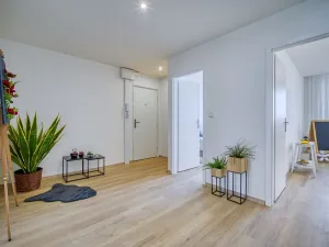 Pronájem bytu 3+kk, Most, Františka Malíka, 65 m2