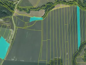 Prodej pole, Šebířov, 44451 m2