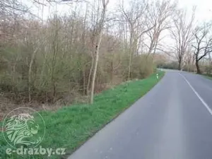 Dražba pozemku, Valtrovice, 9628 m2