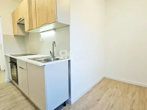 Pronájem bytu 1+1, Ostrava, Proskovická, 40 m2