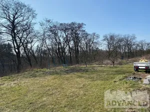 Prodej pozemku pro bydlení, Velké Všelisy, 3638 m2