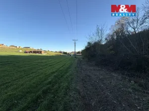 Prodej lesa, Velká Polom, 1901 m2