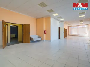 Prodej obchodního prostoru, Cheb, Na Hradčanech, 300 m2