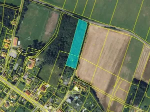 Prodej lesa, Brodek u Konice, 4676 m2