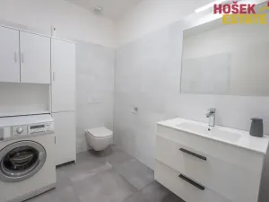 Prodej rodinného domu, Pohořelice, U Větrolamu, 160 m2