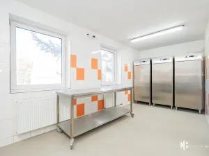 Pronájem výrobních prostor, Zlonín, Hlavní, 50 m2