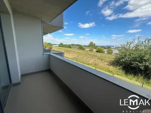 Pronájem bytu 1+kk, Olomouc, Aloise Rašína, 29 m2