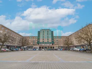 Pronájem bytu 1+1, Ostrava, Alšovo náměstí, 41 m2