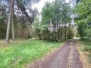 Prodej pozemku, Kladruby - Tuněchody, 1744 m2