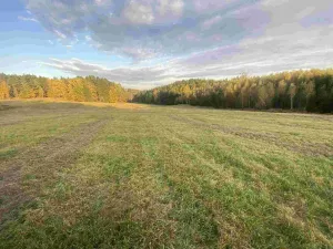 Prodej pole, Cvikov - Trávník, 7470 m2